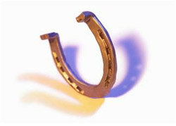 horseshoe