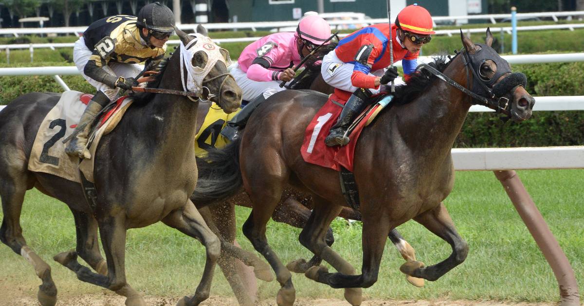 horses racing on dirt