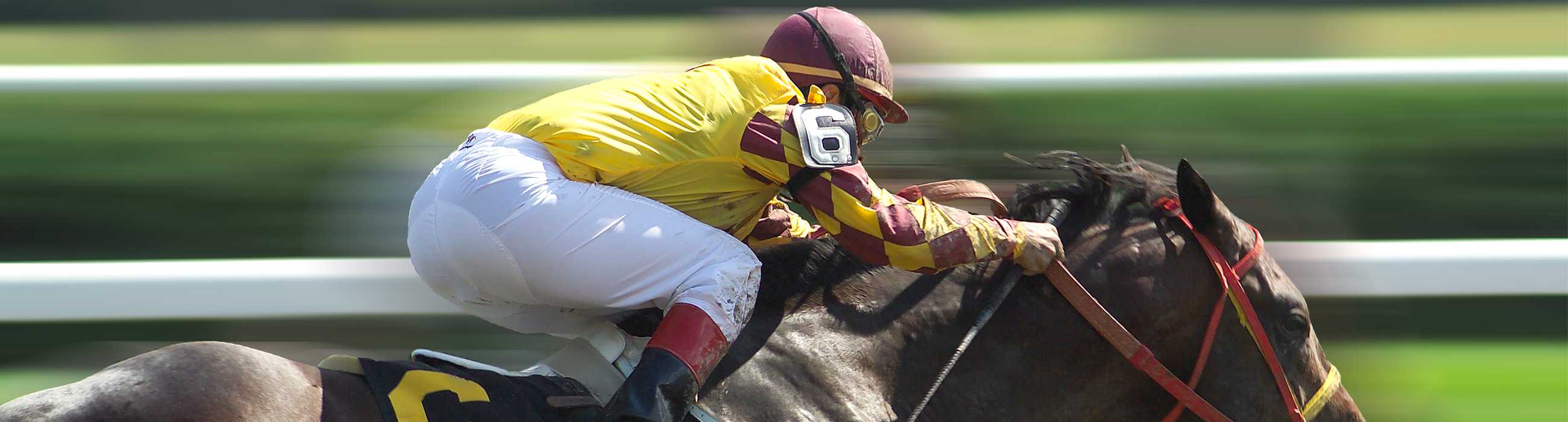 Saratoga Race Course & Harness Racing Guide To The Tracks In Saratoga