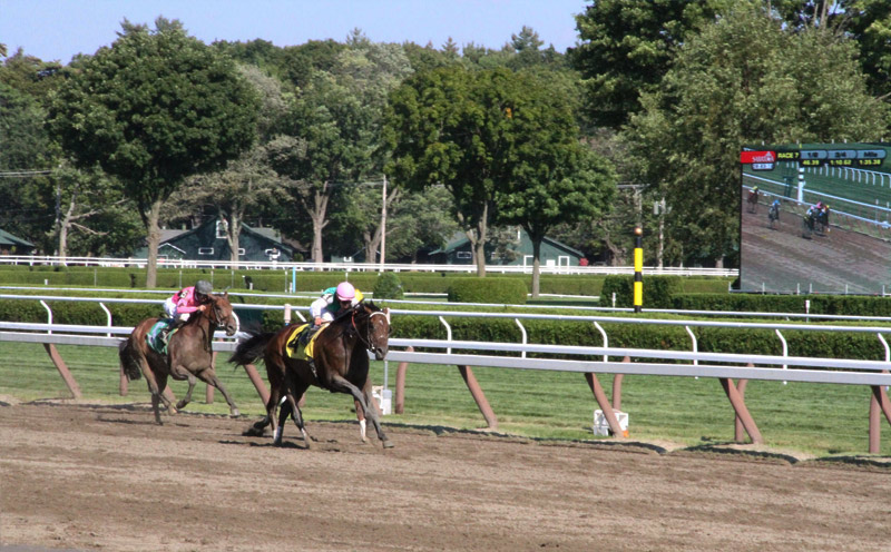 horses racing at saratoga