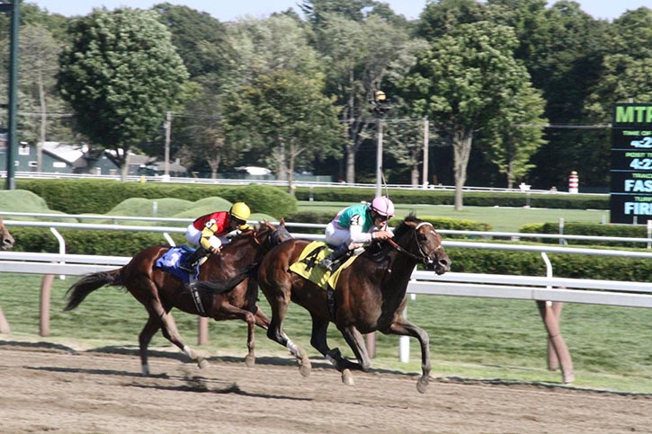 2 horses side by side racing