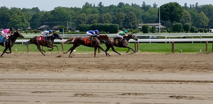 horses racing to the finish