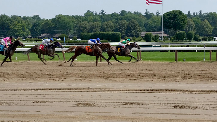 horses racing to the finish