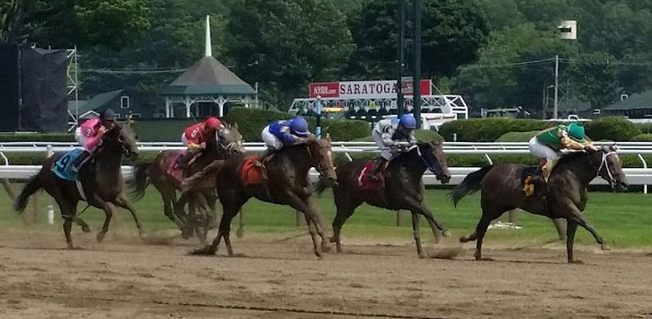 horses racing on the track