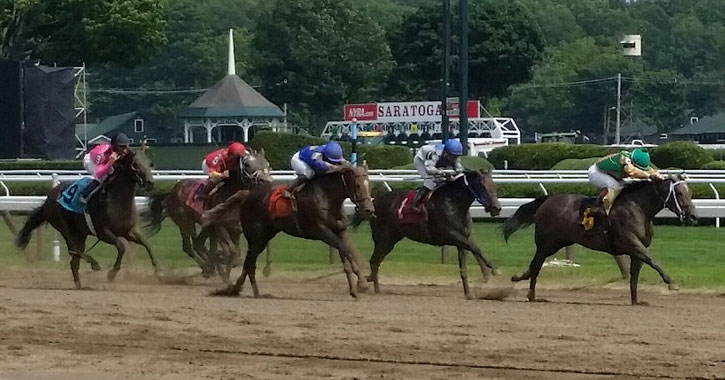 horses racing on the track