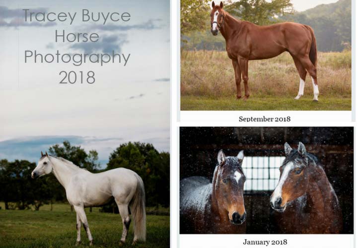 horse photography calendar