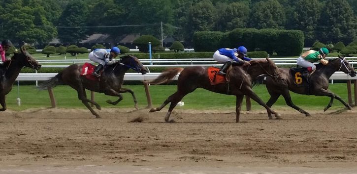 horses racing on the track