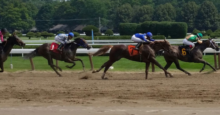 horses racing on the track