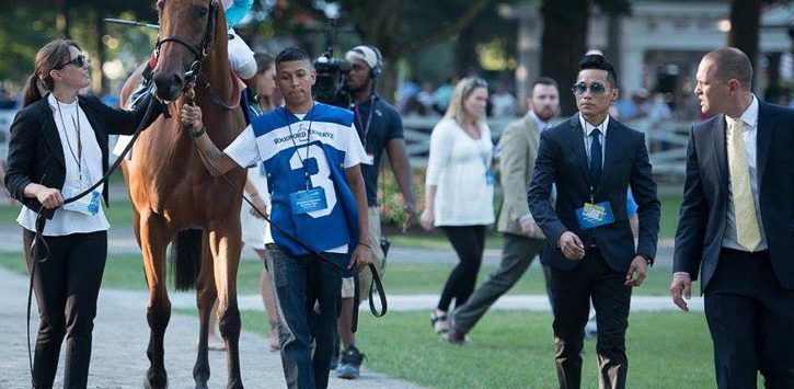 horse trainer chad brown and team