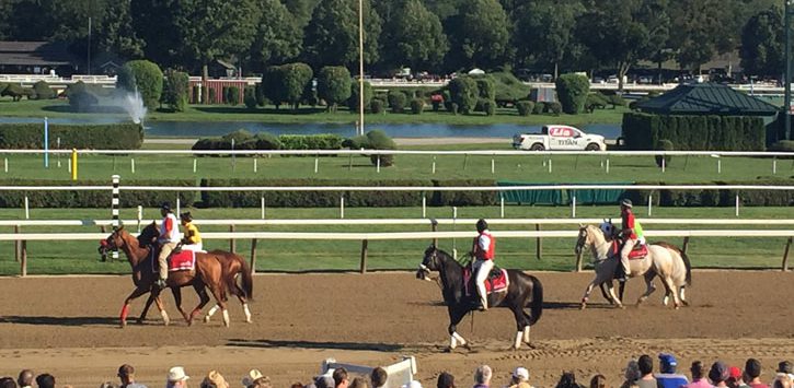 horses on the track, people watching