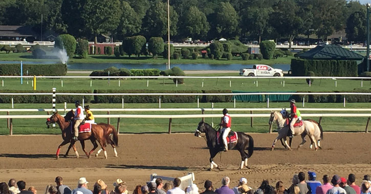 horses on the track, people watching