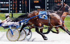 harness racing in action