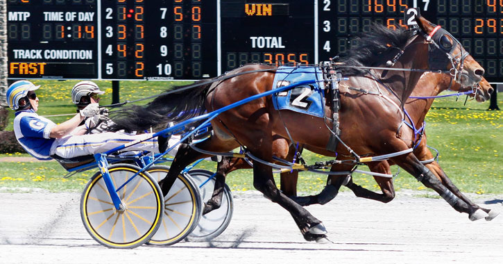 harness racing in action