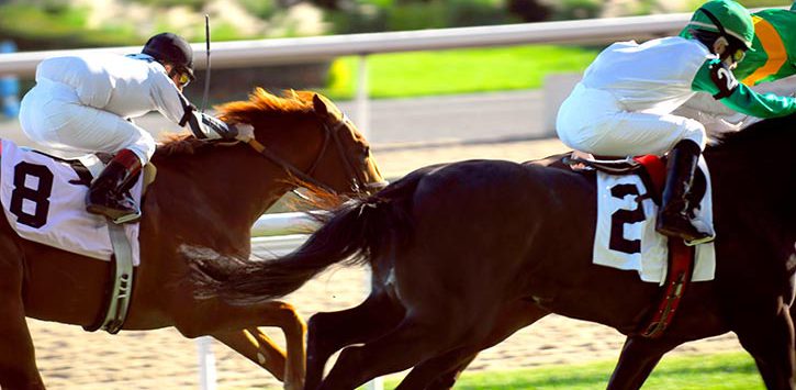 two jockeys race on two horses