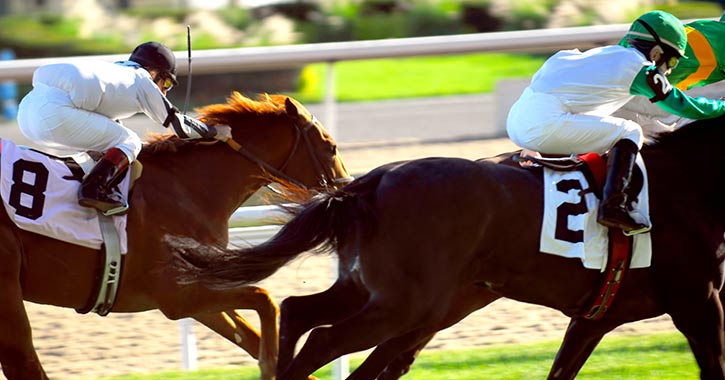 two jockeys race on two horses