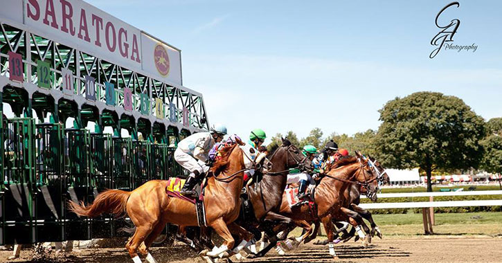 the start of a horse race