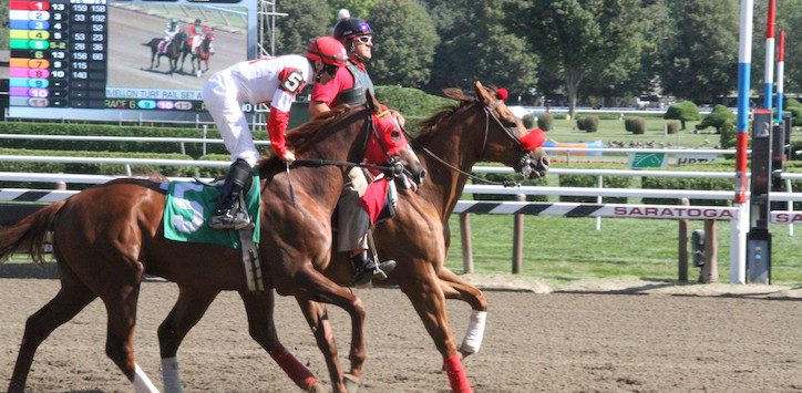 horses at Saratoga