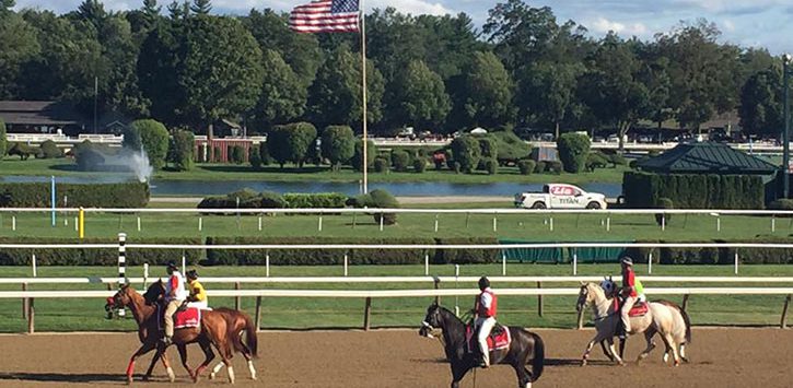 horses on a dirt track