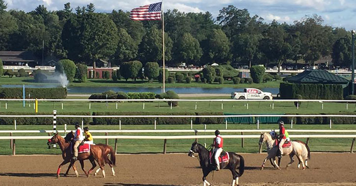 horses on a dirt track