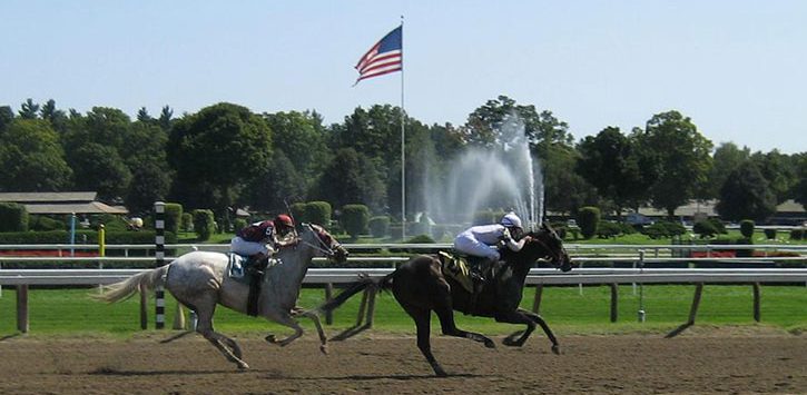 two horses on dirt track