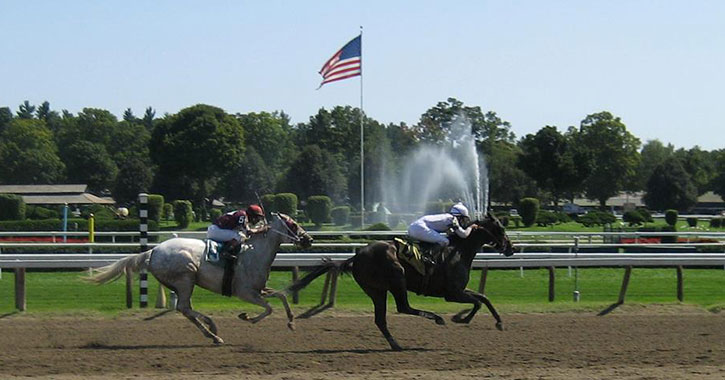 two horses on dirt track