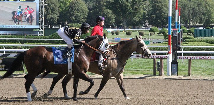 horses walking down dirt track