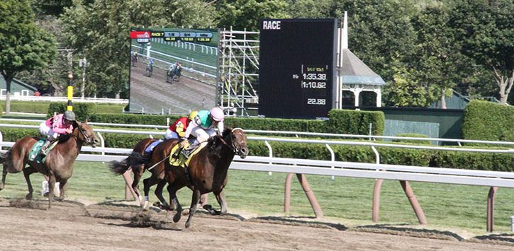 horses racing on dirt track