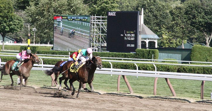 horses racing on dirt track