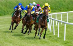 horses racing on the turf