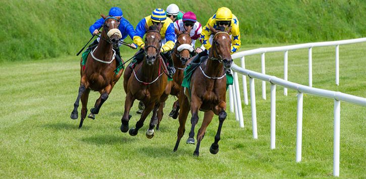 horses racing on the turf