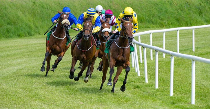 horses racing on the turf