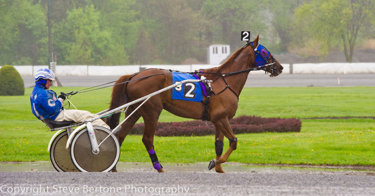 Saratoga Harness Racing Calendar Dania Electra