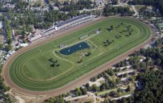 aerial shot of racetrack