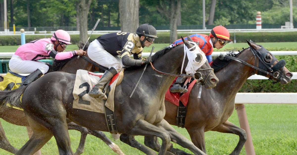 three horses racing