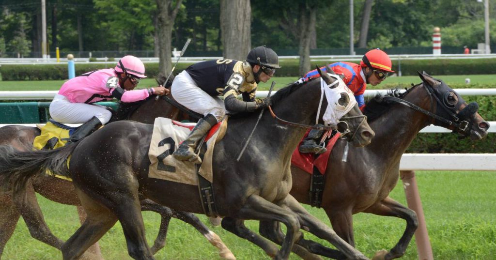 three thoroughbred horse racers