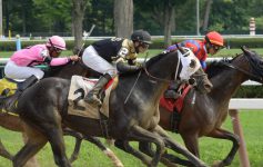 three thoroughbred horse racers