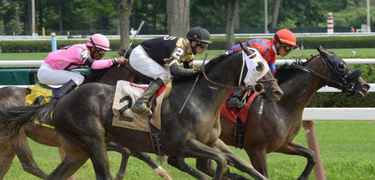 three thoroughbred horse racers