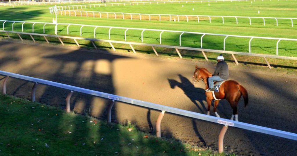 person on a horse at a dirt track