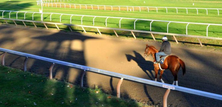 person on a horse at a dirt track