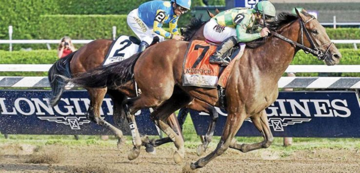 horses running a race