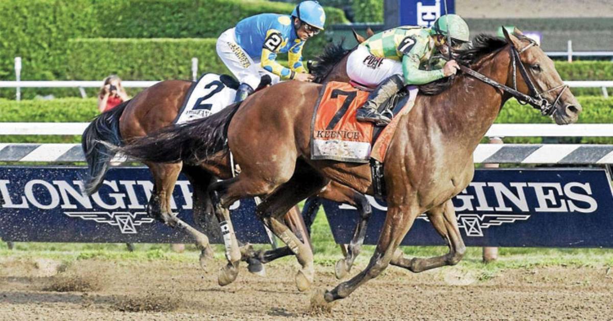 horses running a race