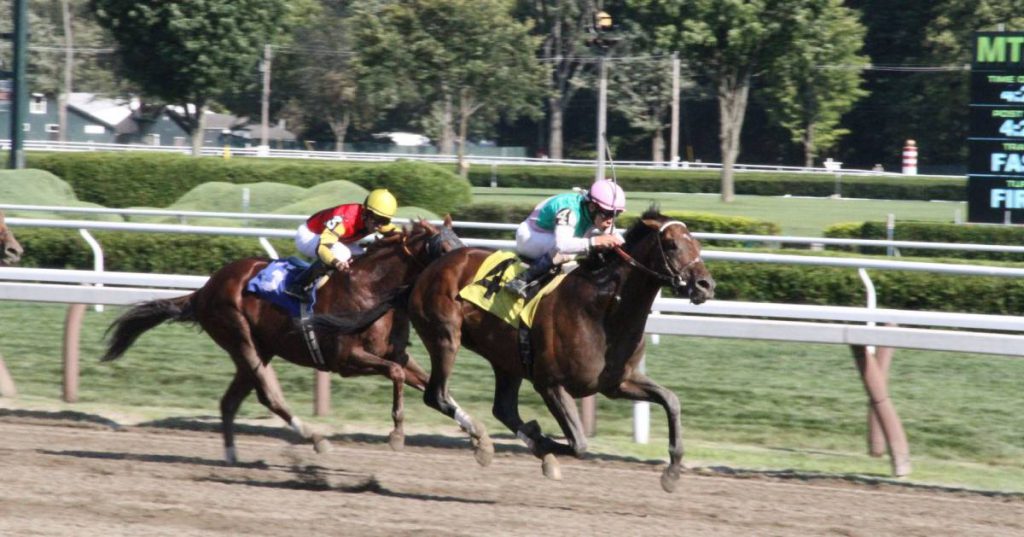 two horses on a dirt track