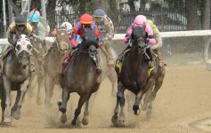 horse racing on a dirt track