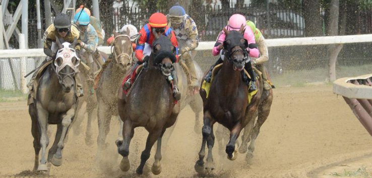 horse racing on a dirt track