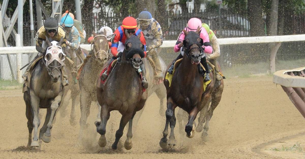 horse racing on a dirt track