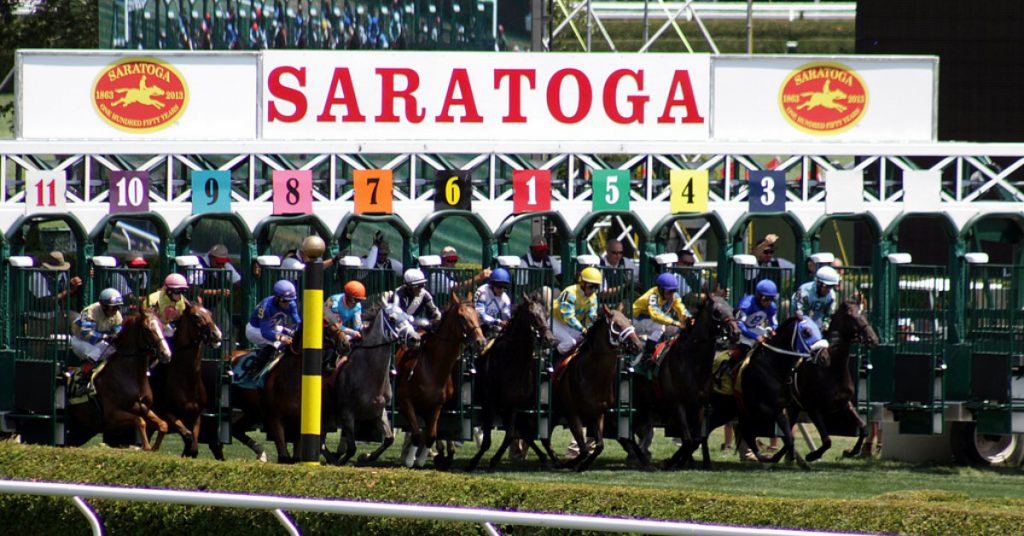 horses and riders at race starting gate