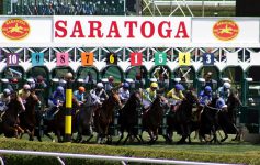 horses and riders at race starting gate