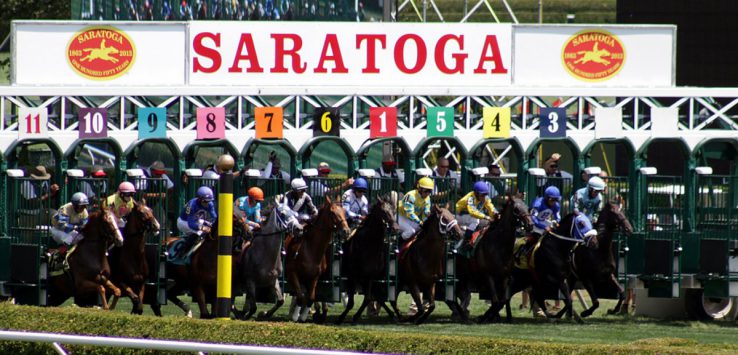 horses and riders at race starting gate