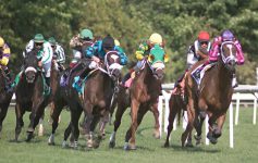 horses racing on turf