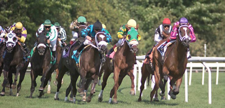 horses racing on turf